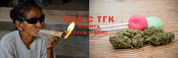 индика Елабуга