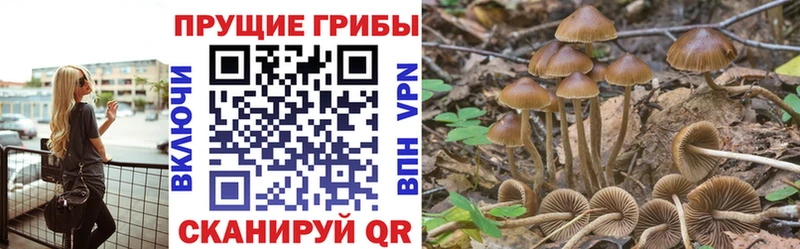 Галлюциногенные грибы Magic Shrooms  Сим 